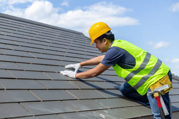 Best Storm Damage Roof Repair  in Williamstown, WV